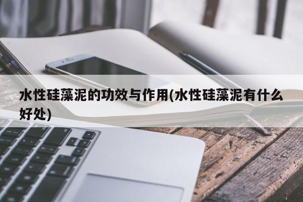水性硅藻泥的功效与作用(水性硅藻泥有什么好处) 第1张