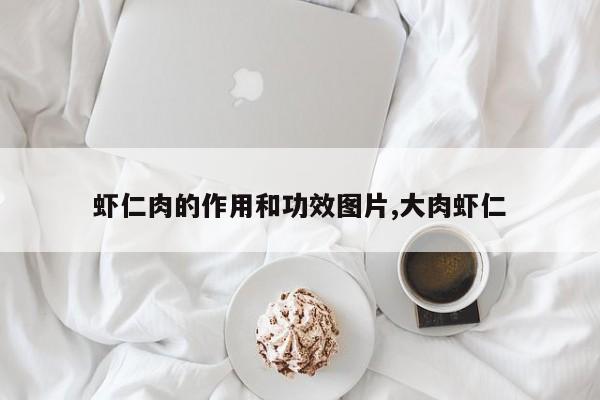 虾仁肉的作用和功效图片,大肉虾仁 第1张