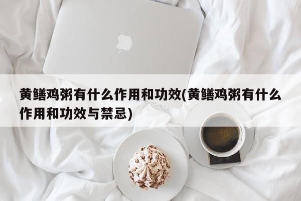 黄鳝鸡粥有什么作用和功效(黄鳝鸡粥有什么作用和功效与禁忌) 第1张