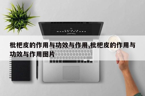 枇杷皮的作用与功效与作用,枇杷皮的作用与功效与作用图片