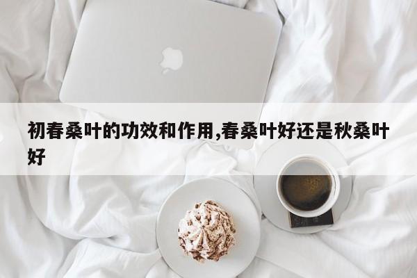 初春桑叶的功效和作用,春桑叶好还是秋桑叶好