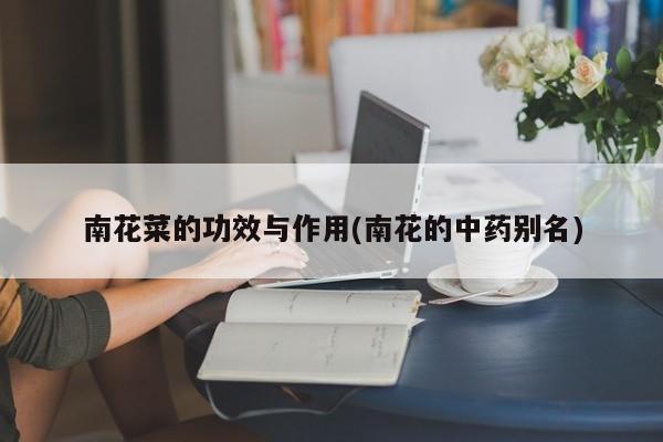 南花菜的功效与作用(南花的中药别名)