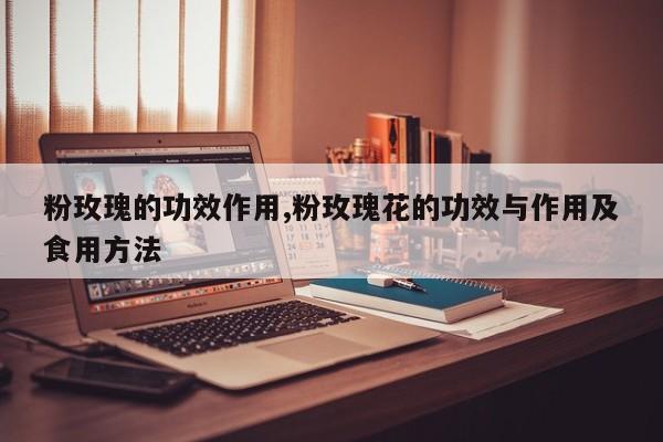 粉玫瑰的功效作用,粉玫瑰花的功效与作用及食用方法