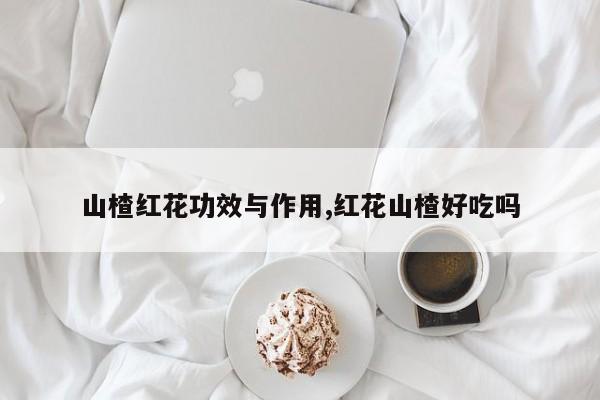 山楂红花功效与作用,红花山楂好吃吗