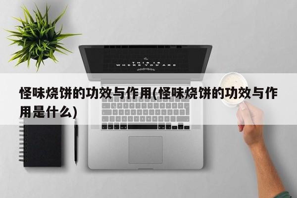 怪味烧饼的功效与作用(怪味烧饼的功效与作用是什么) 第1张