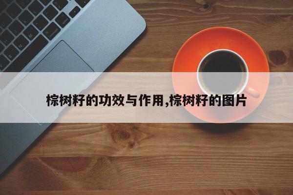 棕树籽的功效与作用,棕树籽的图片