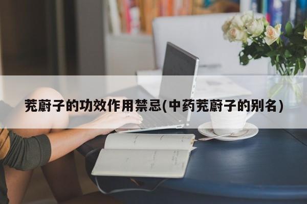 茺蔚子的功效作用禁忌(中药茺蔚子的别名)