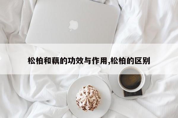 松柏和藕的功效与作用,松柏的区别