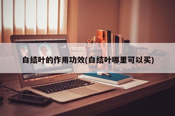 白结叶的作用功效(白结叶哪里可以买)