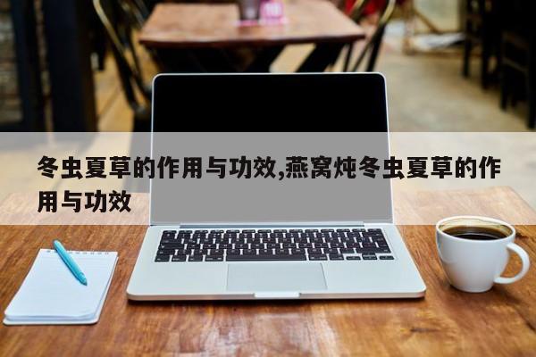 冬虫夏草的作用与功效,燕窝炖冬虫夏草的作用与功效 第1张